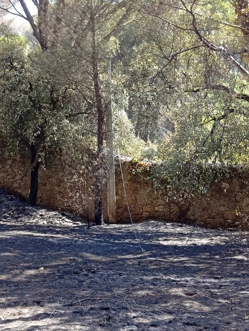 Incendio jardines La Pililla